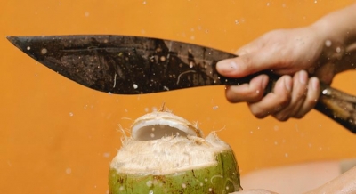 Coconut a magic staple ingredient in most households | Coconut a magic staple ingredient in most households
