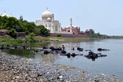 Polluted Yamuna tops Agra's list of woes | Polluted Yamuna tops Agra's list of woes