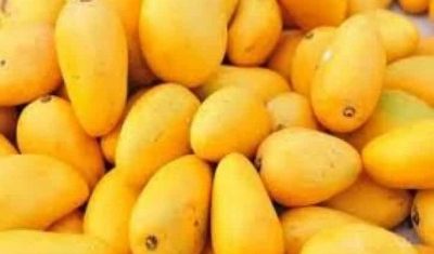 'Kisan Rail' carrying mangoes chugs to Delhi from K'taka | 'Kisan Rail' carrying mangoes chugs to Delhi from K'taka