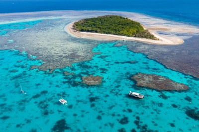 Warming water inhibits growth of Great Barrier Reef coral: Study | Warming water inhibits growth of Great Barrier Reef coral: Study