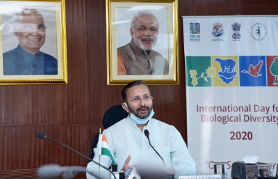 Dust control rules soon to improve air quality: Javadekar | Dust control rules soon to improve air quality: Javadekar