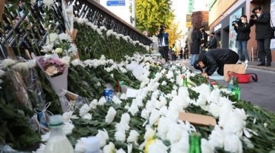 Survivor of Seoul crowd crush found dead in apparent suicide | Survivor of Seoul crowd crush found dead in apparent suicide Survivor of Seoul crowd crush found dead in apparent suicide | Survivor of Seoul crowd crush found dead in apparent suicide