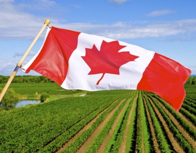 Canada needs 30,000 new immigrants in agri sector: Report | Canada needs 30,000 new immigrants in agri sector: Report