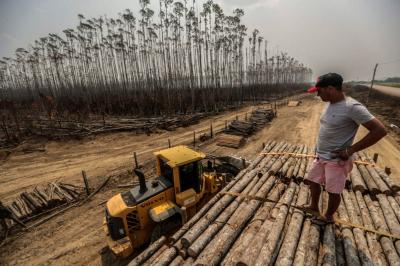 Amazon deforestation hits highest level in 5 years | Amazon deforestation hits highest level in 5 years
