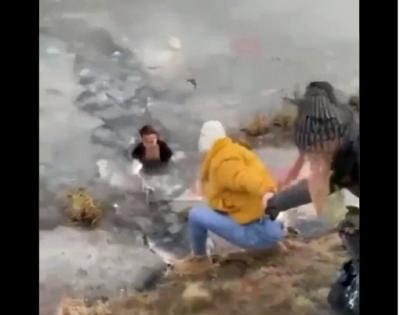 Woman cuts through icy pond to save dog, netizens lauds | Woman cuts through icy pond to save dog, netizens lauds Woman cuts through icy pond to save dog, netizens lauds | Woman cuts through icy pond to save dog, netizens lauds