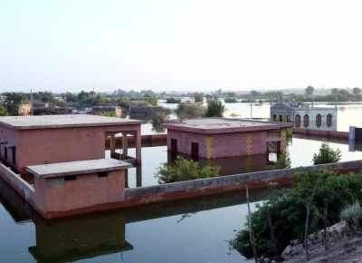 907 dead, 1,044 injured due to rains and flooding across Pakistan | 907 dead, 1,044 injured due to rains and flooding across Pakistan 907 dead, 1,044 injured due to rains and flooding across Pakistan | 907 dead, 1,044 injured due to rains and flooding across Pakistan