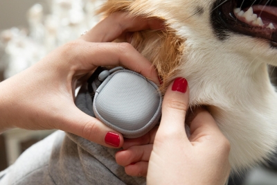 Samsung, LG unveil home appliances that take care of your pet | Samsung, LG unveil home appliances that take care of your pet