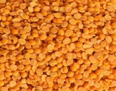 Govt sets up monitoring committee to prevent hoarding of Tur dal stocks | Govt sets up monitoring committee to prevent hoarding of Tur dal stocks
