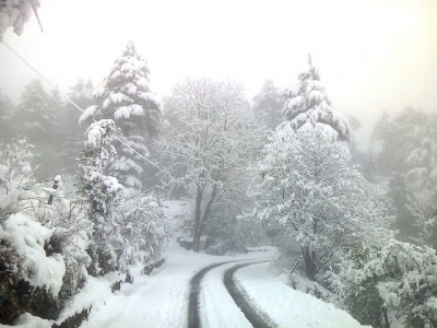 Erratic weather in J&K, Ladakh during next 24 hours | Erratic weather in J&K, Ladakh during next 24 hours