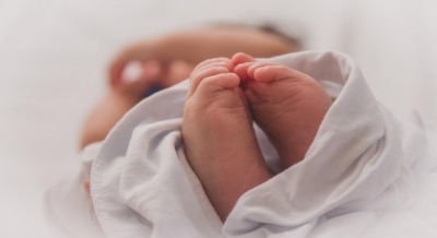 Are nutrition and fertility related? | Are nutrition and fertility related?