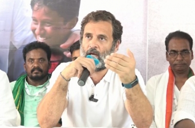 New Congress president will decide my role: Rahul | New Congress president will decide my role: Rahul New Congress president will decide my role: Rahul | New Congress president will decide my role: Rahul
