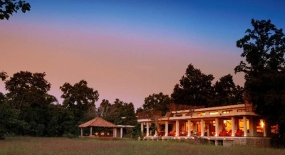 Experience the magnificence of the jungles | Experience the magnificence of the jungles