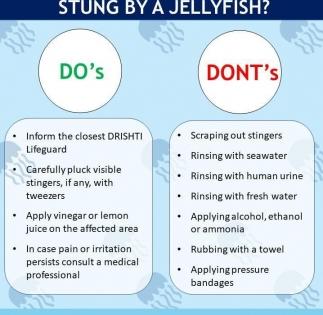 Jellyfish swarms sting Goa beachgoers; advisory issued | Jellyfish swarms sting Goa beachgoers; advisory issued