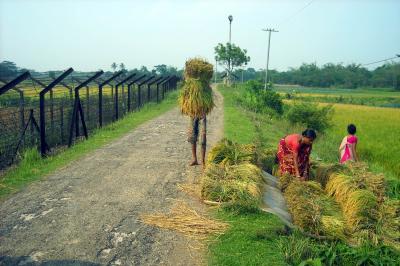 UP govt plans to make the 'Ganga' remunerative for farmers | UP govt plans to make the 'Ganga' remunerative for farmers UP govt plans to make the 'Ganga' remunerative for farmers | UP govt plans to make the 'Ganga' remunerative for farmers