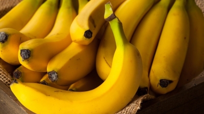 UP bananas being exported to Iran | UP bananas being exported to Iran