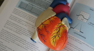 Abnormalities in heart functions may raise dementia risk: Study | Abnormalities in heart functions may raise dementia risk: Study