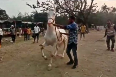 'Dancer Bahubali' a major attraction at Bihar's Sonepur fair | 'Dancer Bahubali' a major attraction at Bihar's Sonepur fair