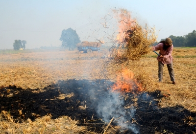 Will AAP govt in Punjab help Delhi get rid of air pollution? | Will AAP govt in Punjab help Delhi get rid of air pollution?