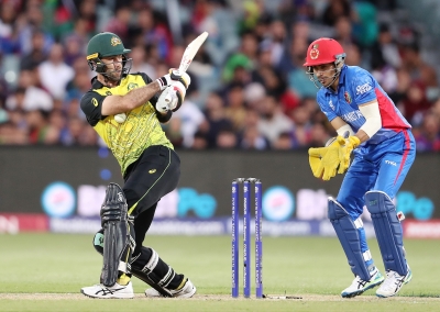 T20 World Cup: Australia survive Rashid Khan cameo in four-run win, semis spot still in doubt | T20 World Cup: Australia survive Rashid Khan cameo in four-run win, semis spot still in doubt