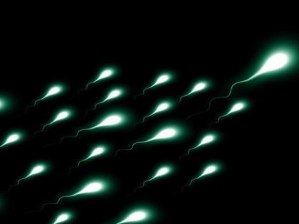 Study reveals why some men don't produce enough sperm | Study reveals why some men don't produce enough sperm Study reveals why some men don't produce enough sperm | Study reveals why some men don't produce enough sperm