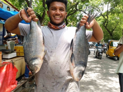 Drones to soon transport fish in difficult terrains: Centre | Drones to soon transport fish in difficult terrains: Centre Drones to soon transport fish in difficult terrains: Centre | Drones to soon transport fish in difficult terrains: Centre