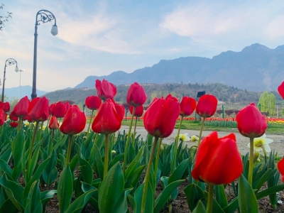 Mainly clear to partly cloudy sky likely in J&K: MeT | Mainly clear to partly cloudy sky likely in J&K: MeT