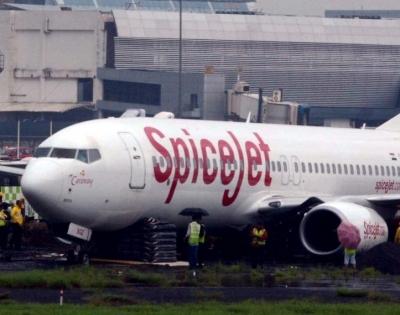 SpiceJet flight to Leh returns to Delhi after engine hit by bird | SpiceJet flight to Leh returns to Delhi after engine hit by bird