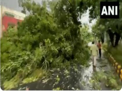 Rain and hailstorm in Delhi; trees uprooted, flights diverted | Rain and hailstorm in Delhi; trees uprooted, flights diverted