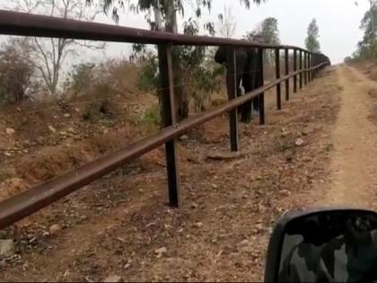 Staffer who shot elephant in Bandipur sacked, action initiated against forest dept employee | Staffer who shot elephant in Bandipur sacked, action initiated against forest dept employee Staffer who shot elephant in Bandipur sacked, action initiated against forest dept employee | Staffer who shot elephant in Bandipur sacked, action initiated against forest dept employee
