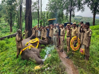 Female elephant passes away in Coimbatore | Female elephant passes away in Coimbatore