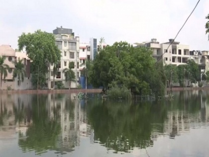 Overflowing Delhi's Naini Lake triggers alarm as snakes enter homes, residents hope for relief | Overflowing Delhi's Naini Lake triggers alarm as snakes enter homes, residents hope for relief
