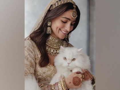 Alia Bhatt drops new snaps from recent wedding with Ranbir Kapoor, introduces her 'cat of honour' | Alia Bhatt drops new snaps from recent wedding with Ranbir Kapoor, introduces her 'cat of honour'