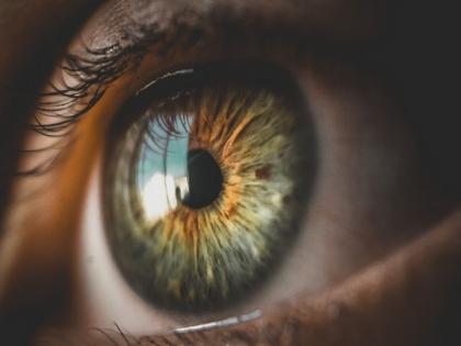 Study shows the larger an image, the better we remember it | Study shows the larger an image, the better we remember it Study shows the larger an image, the better we remember it | Study shows the larger an image, the better we remember it