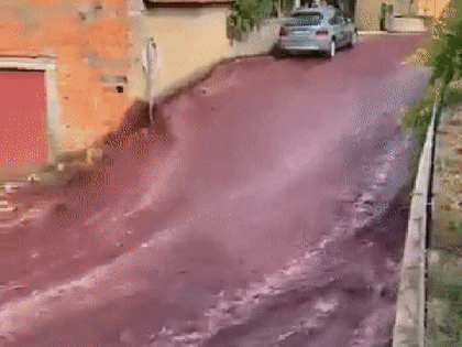 River of red wine flows through Portuguese town after distillery accident | River of red wine flows through Portuguese town after distillery accident River of red wine flows through Portuguese town after distillery accident | River of red wine flows through Portuguese town after distillery accident