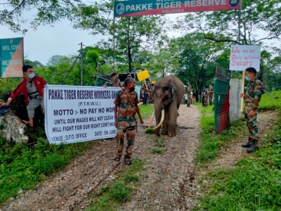 Not paid for 6 months, staff at Arunachal tiger reserve begin indefinite strike | Not paid for 6 months, staff at Arunachal tiger reserve begin indefinite strike