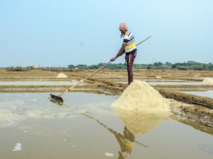 Human activities making Earth’s air, soil and freshwater 'saltier': Study | Human activities making Earth’s air, soil and freshwater 'saltier': Study Human activities making Earth’s air, soil and freshwater 'saltier': Study | Human activities making Earth’s air, soil and freshwater 'saltier': Study