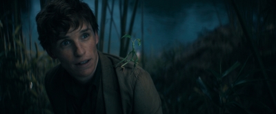 Juxtaposition of the wizarding, non-magical world has always appealed to me: Eddie Redmayne | Juxtaposition of the wizarding, non-magical world has always appealed to me: Eddie Redmayne