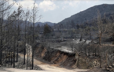 Massive forest fire in Cyprus kills 4 people | Massive forest fire in Cyprus kills 4 people