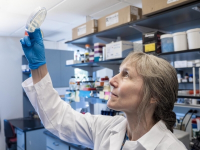 Scientists find novel compound as Covid triggers superbug threat | Scientists find novel compound as Covid triggers superbug threat Scientists find novel compound as Covid triggers superbug threat | Scientists find novel compound as Covid triggers superbug threat