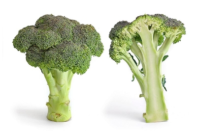 Broccoli, leafy greens can help slow growth of Covid, flu | Broccoli, leafy greens can help slow growth of Covid, flu