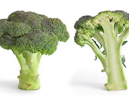 Broccoli may protect against inflammatory bowel disease: Study | Broccoli may protect against inflammatory bowel disease: Study Broccoli may protect against inflammatory bowel disease: Study | Broccoli may protect against inflammatory bowel disease: Study