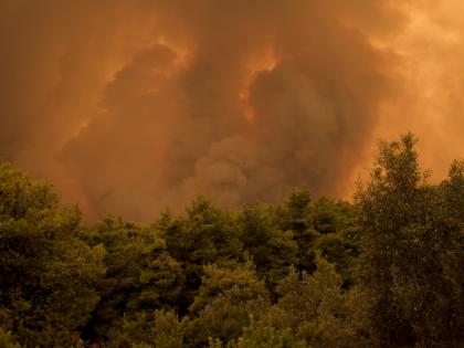 Wildfires continue to rage on Greek island | Wildfires continue to rage on Greek island Wildfires continue to rage on Greek island | Wildfires continue to rage on Greek island