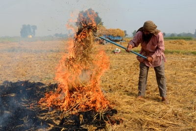 Haryana's stubble burning efforts lauded | Haryana's stubble burning efforts lauded