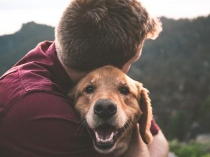 Pets may not improve owners with severe mental illness: Study | Pets may not improve owners with severe mental illness: Study Pets may not improve owners with severe mental illness: Study | Pets may not improve owners with severe mental illness: Study
