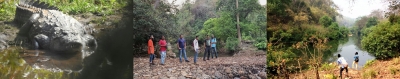 After success with mynahs, Kanger Valley ropes in tribal youth to save Marsh crocodiles | After success with mynahs, Kanger Valley ropes in tribal youth to save Marsh crocodiles After success with mynahs, Kanger Valley ropes in tribal youth to save Marsh crocodiles | After success with mynahs, Kanger Valley ropes in tribal youth to save Marsh crocodiles