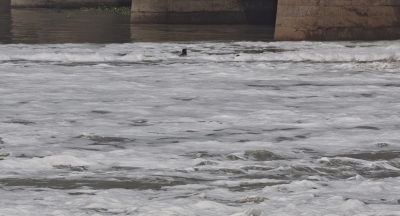 Maharashtra tops Jal Shakti Ministry's national water bodies census | Maharashtra tops Jal Shakti Ministry's national water bodies census