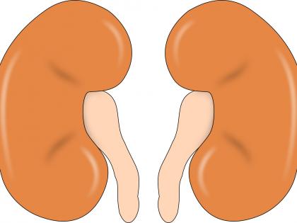 New FDA approved antiviral shows promise for kidney transplant patients | New FDA approved antiviral shows promise for kidney transplant patients