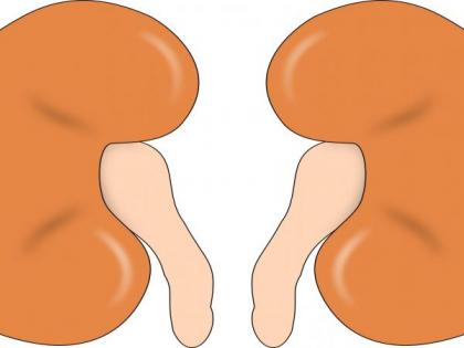 Hyderabad woman saves son by donating kidney | Hyderabad woman saves son by donating kidney Hyderabad woman saves son by donating kidney | Hyderabad woman saves son by donating kidney
