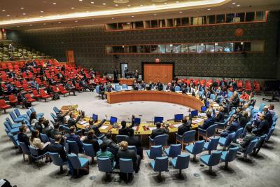 UNSC extends mandate of Haiti's political mission | UNSC extends mandate of Haiti's political mission