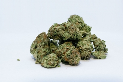 Two held with 285 kg of marijuana in Gurugram | Two held with 285 kg of marijuana in Gurugram